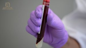 PRP.00_00_26_03.Still004