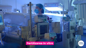 FIV.00_00_15_24.Still002