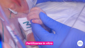 FIV.00_01_25_31.Still004