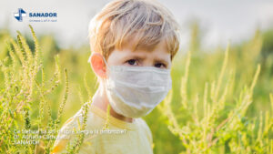 ALERGIA-LA-AMBROZIE.00_02_44_27.Still006