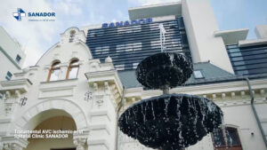 Tratamentul-accidentului-vascular-cerebral-ischemic-acut-.00_06_29_19.Still004