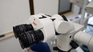 C3112.MP4.00_07_48_43.Still001