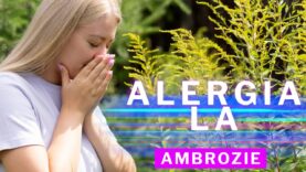 ALERGIA LA AMBROZIE