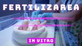 FERTILIZAREA IN VITRO