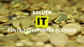 SOLUȚII IT PENTRU                     EFECTUAREA PLĂȚILOR