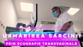 URMĂRIREA SARCINII PRIN ECOGRAFIE TRANSVAGINALĂ