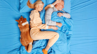 Top view of family couple and their pet sleep peacefully in bed see sweet dreams lying closely to each other have good friendly relationships. Mature woman and man have rest in bedroom with dog