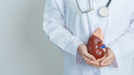 Doctor holding Anatomical kidney Adrenal gland model. disease of