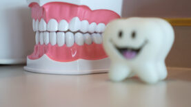 C6654.MP4.00_05_33_06.Still001