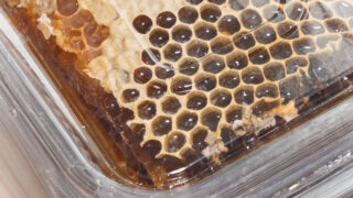 PGH55791.MP4.00_00_02_01.Still001