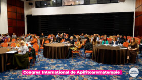 SRAFA.00_00_17_21.Still003