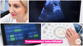 FIV.00_00_38_18.Still002