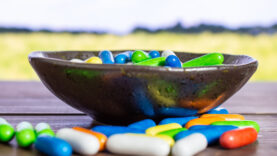 lot-of-whole-sweet-licorice-comfit-on-grey-ceramic-2025-10-13-15-16-32-utc