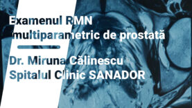 Examenul RMN multiparametric de prostată.00_00_06_36.Still002