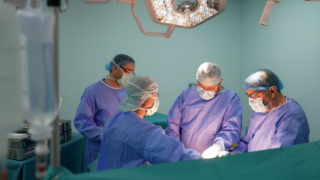 envato-labs-image-edit